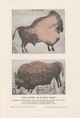 Tierbilder aus der älteren