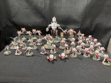 Warhammer 40k Adepta Sororitas Armee 43 Figuren sehr gut bemalt