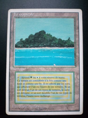 Mtg fwb french - mtg,