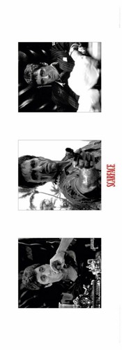 Scarface tryptichon al - scarface,