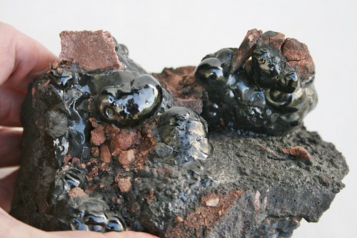 Schöner brauner glaskopf - schöner,