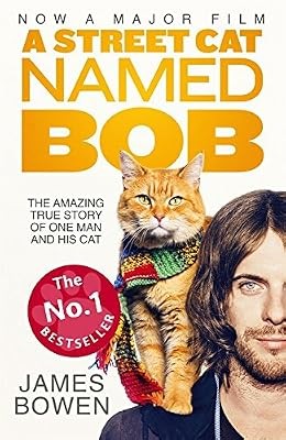 Street cat named - a, how