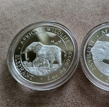 2 Oz African Wildlife Elefant
