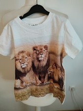 MOLO organic cotton schönes