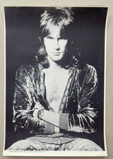 Plakat Poster - Alvin Lee -