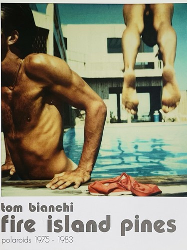 Tom bianchi fire island - bianchi,