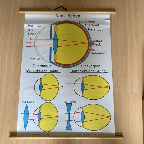 Vom sehen r - sehen, rolltafel