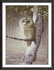 Kreuzstich Stickpackungen Eule Tiere Bilder Vorlagen Stickerei Set Zählmuster