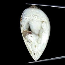 108.40Cts Natürlich Fossil