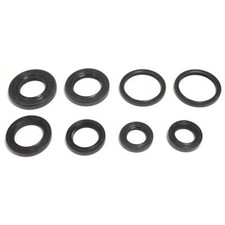 Satz motordichtringe - satz,