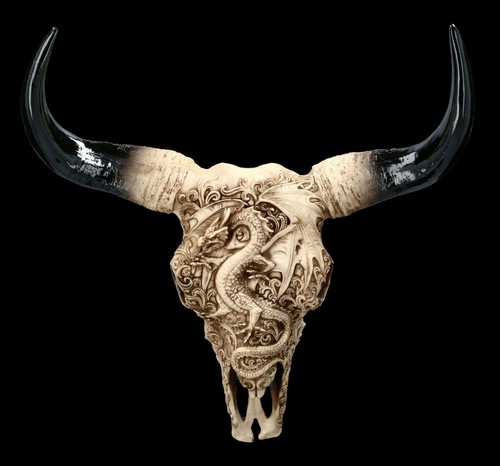 Wandrelief stier schädel - wandrelief,