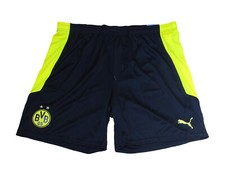 BVB Borussia Dortmund