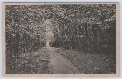 Messenthiner waldverein - ak,