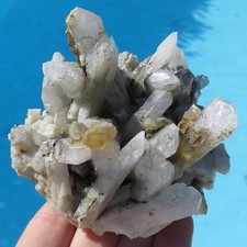 Mineralien Groß Igel Kristall Danburite Mexico