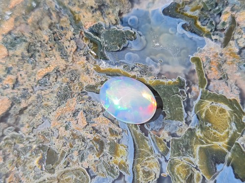 Top farben welo opal - welo,
