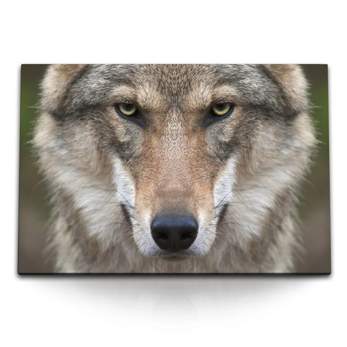 120x80cm wandbild auf leinwand - 120x80cm,