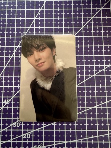 Stray kids oddinary n - stray,