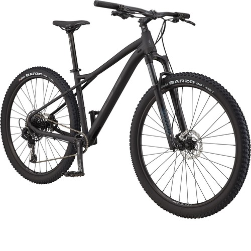 Avalanche expert zoll - 29,
