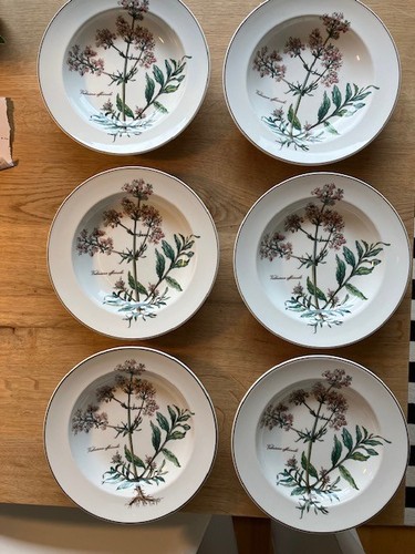 Villeroy boch botanica - &,