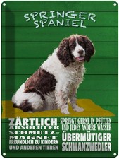 Blechschild 40x30 cm Springer