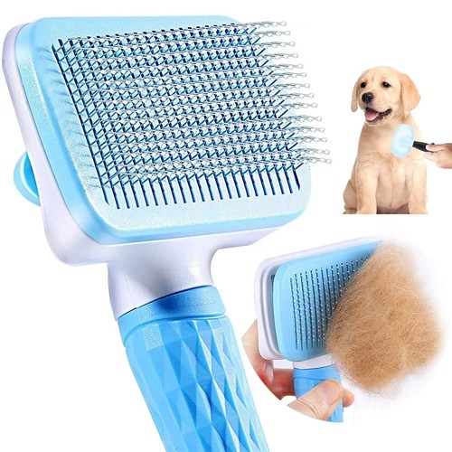 Hunde katzen bürste kämme - hunde, in