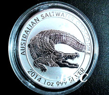 Australian Saltwater Crocodile