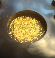 Gold gediegen  als Sammlerprobe vom Rhein südlich von Basel Schweiz