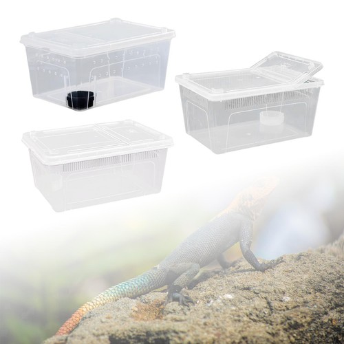 Reptil fütterung box zucht - box,