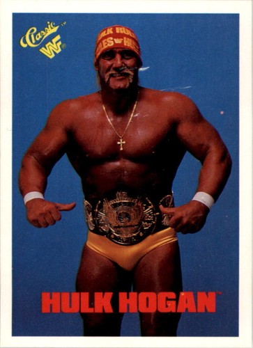 B3650 1990 classic wwf - 1990,