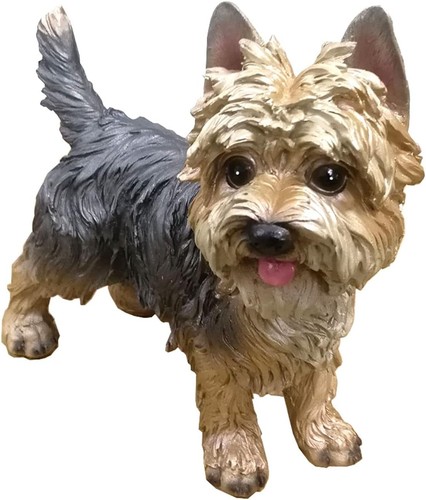 Yorkshire terrier - yorkshire,