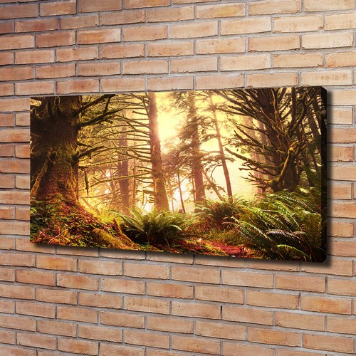 Leinwandbild kunst druck - leinwandbild, kunst-druck