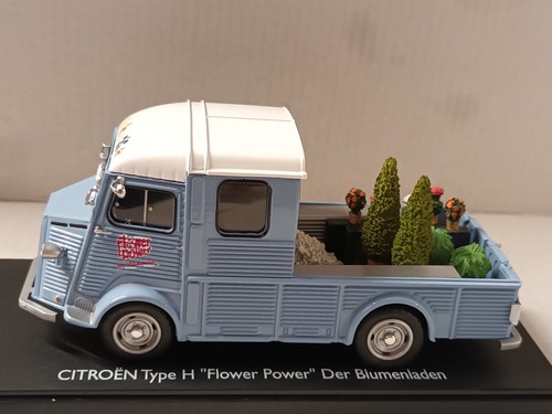 Citroen type flower - , h