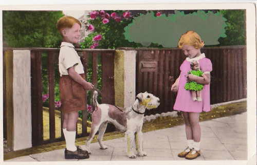 Postkarte foxterrier - ,