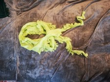 Woll Strick Schal Limetten grün / nie getragen