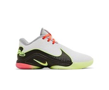 Nike Lebron 22 Crown Jewel