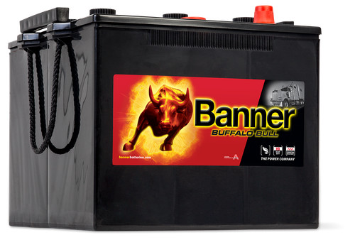 Natoblock 125ah banner buffalo - banner,