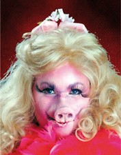 Eulenspiegel Latexapplikation