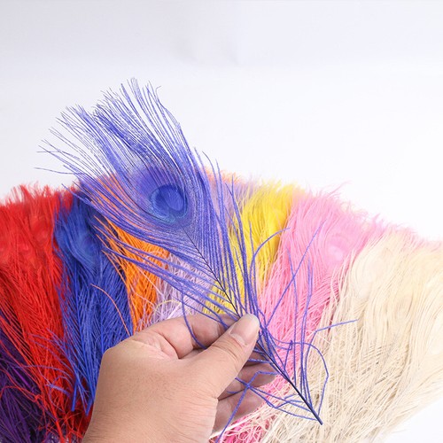 30cm 10pcs pfau - 10pcs, für