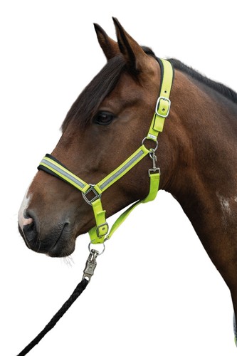 Halfter reflective pony vb - -reflective-,