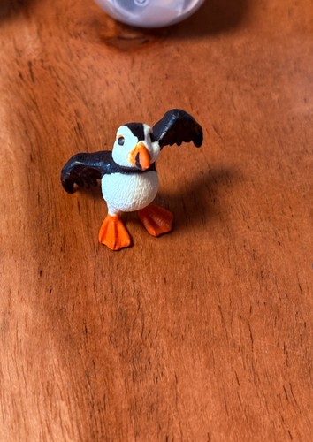 Papageitaucher eddy schleich - eddy,