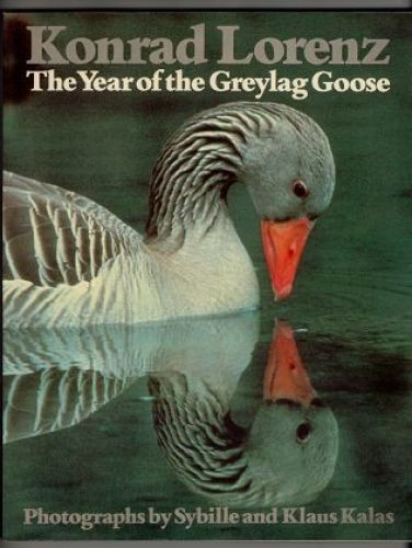 The year greylag goose - year,