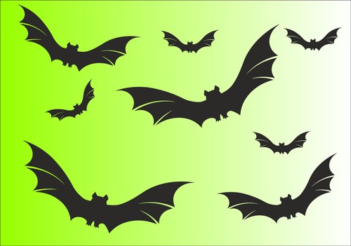 Fledermaus aufkleber stück - fledermaus,