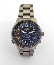 Citizen Promaster Pilot