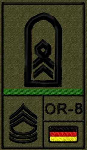 Bundeswehr rangabzeichen mit - rangabzeichen,