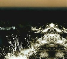 Ohrwurm [Digipak] by Michele