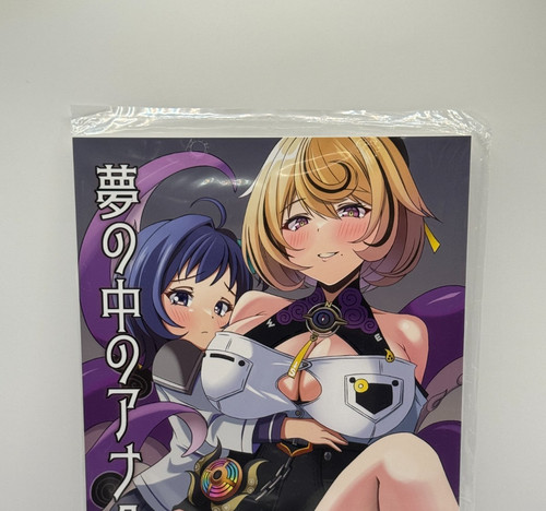 Zenless zone zero doujinshi - zone, /