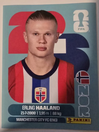 Erling haaland stürmer - haaland,