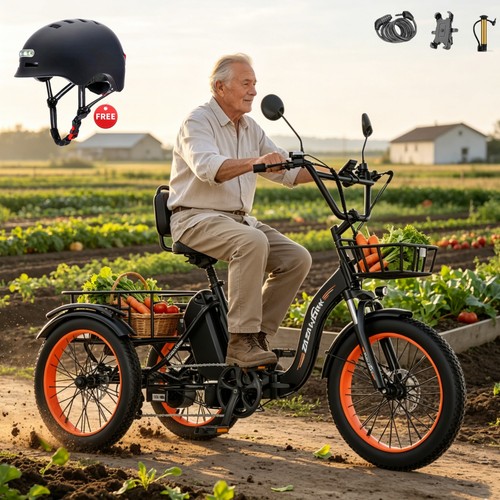 Rad elektrofahrrad 48v - 3-rad,