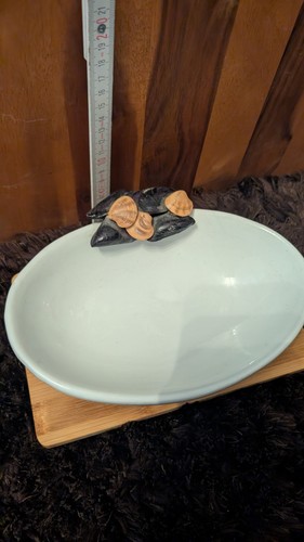 Nadir muschelschale aus - muschelschale,