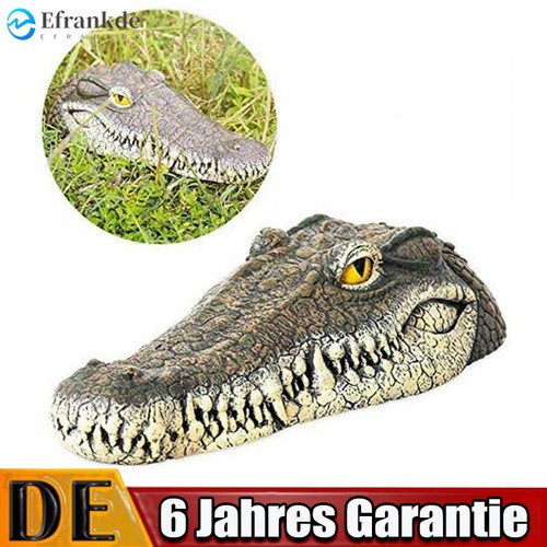 Schwimmende krokodil kopf - schwimmende,